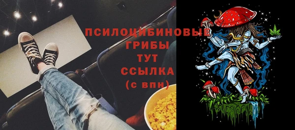мескалин Пестово